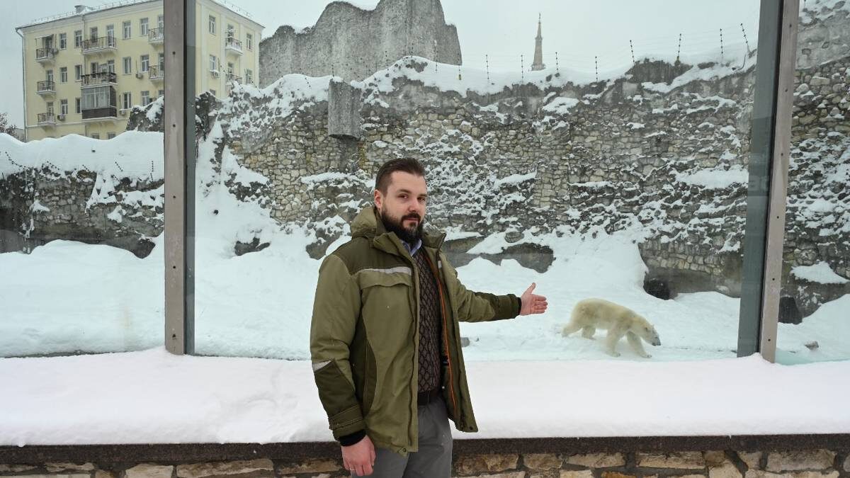    Начальник отдела хищных животных Московского зоопарка Иван Пажитнов рассказывает о белой медведице по имени Айка / Фото: Анатолий Цымбалюк / Вечерняя Москва