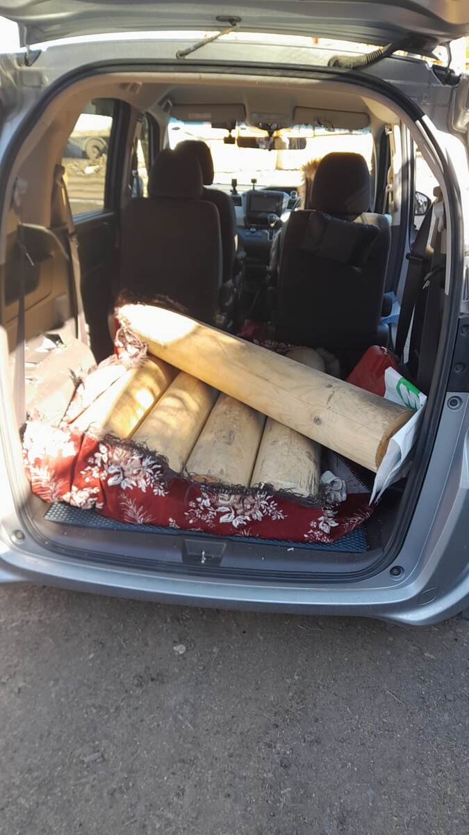 На стройбазе он распилил брёвна в размер.