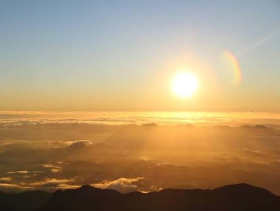 Гугл картинки. 