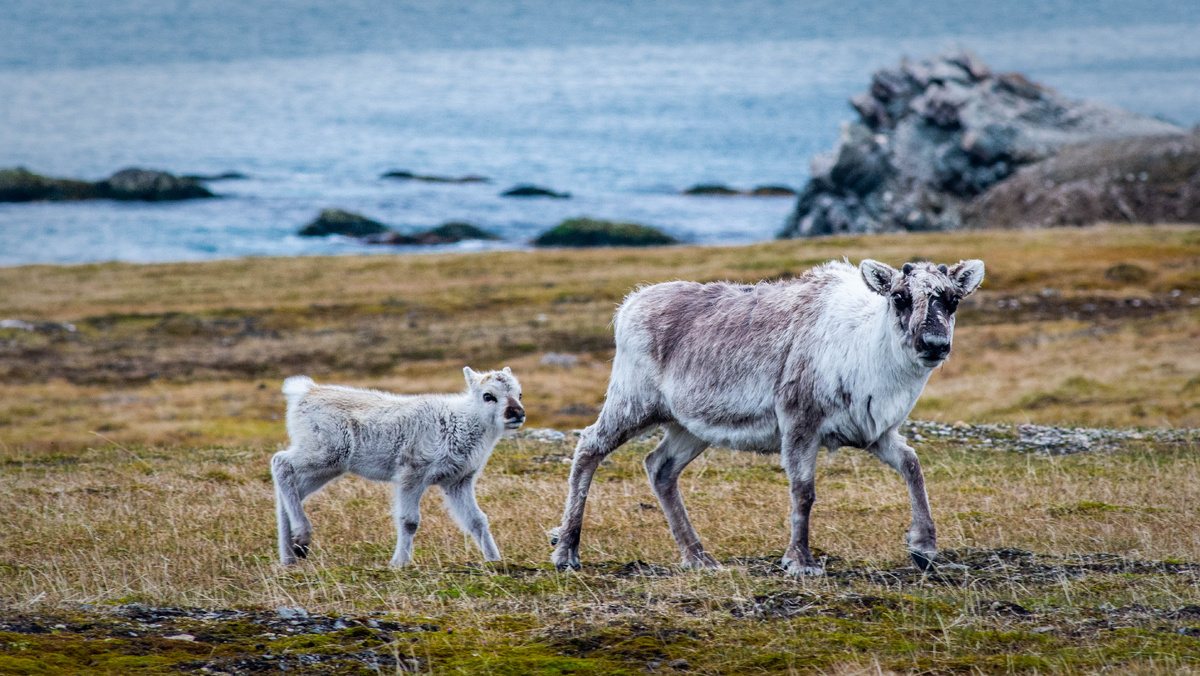 Фото: Александр Романовский / Фотобанк ПОРА