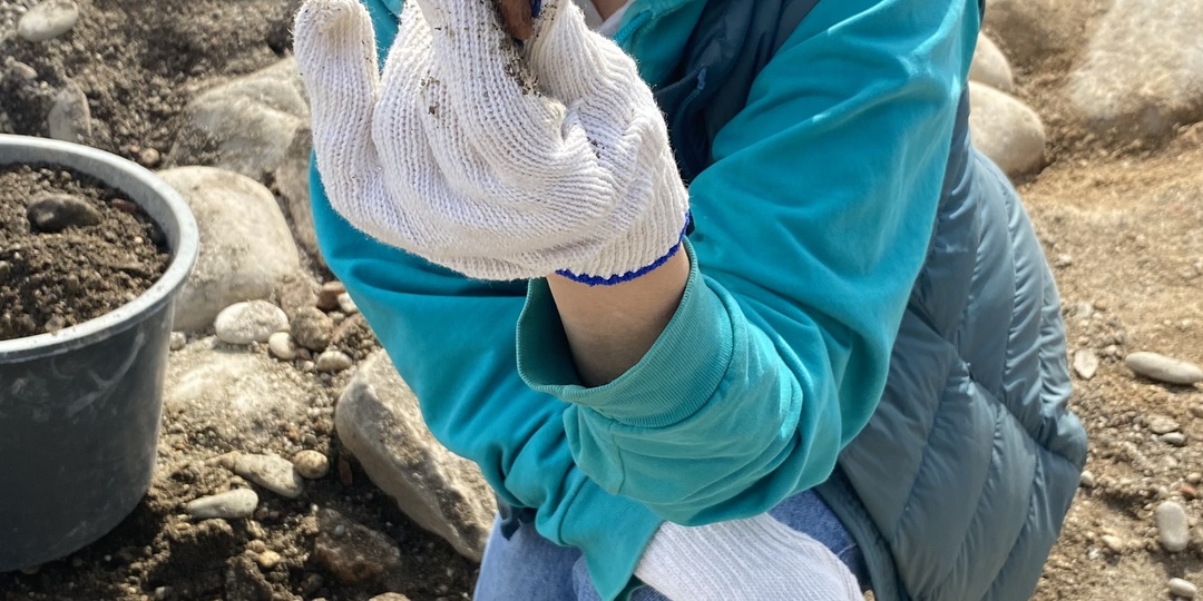 Где искать клад