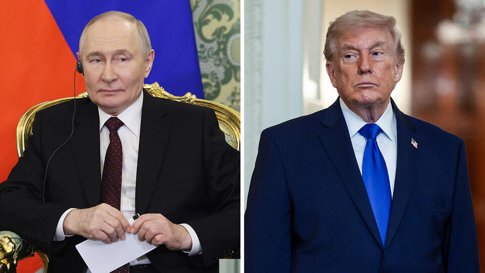     Песков: Путин и Трамп пока не планируют проводить разговор РИА Новости/Михаил Метцель/POOL, REUTERS/Evelyn Hockstein