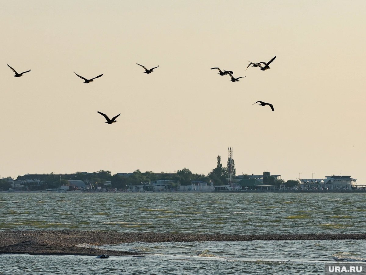     Кубинские пограничники ликвидировали четырех человек с катера под флагом США