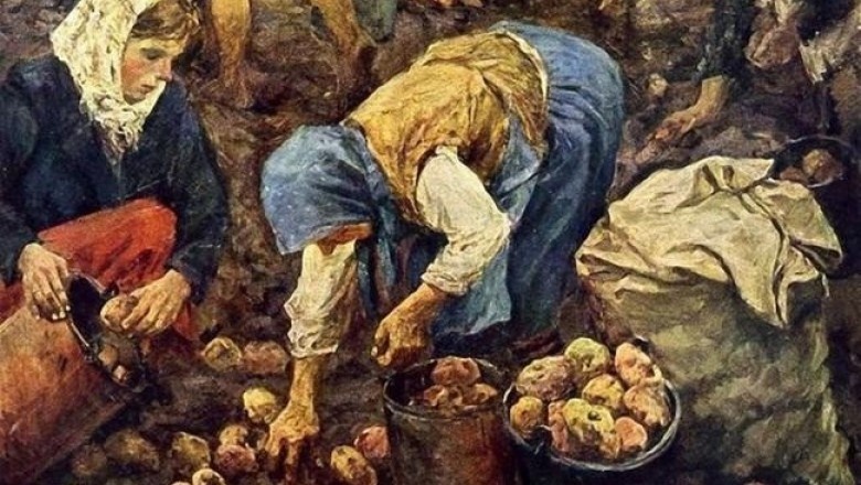 В России картофель действительно долгое время воспринимался с недоверием и даже страхом.