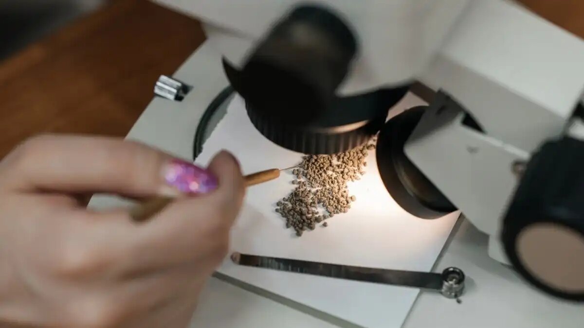 Фото: ТПУ
В ТПУ разработали удобрения на основе глауконита