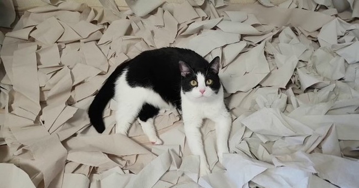 источник Яндекс-картинки