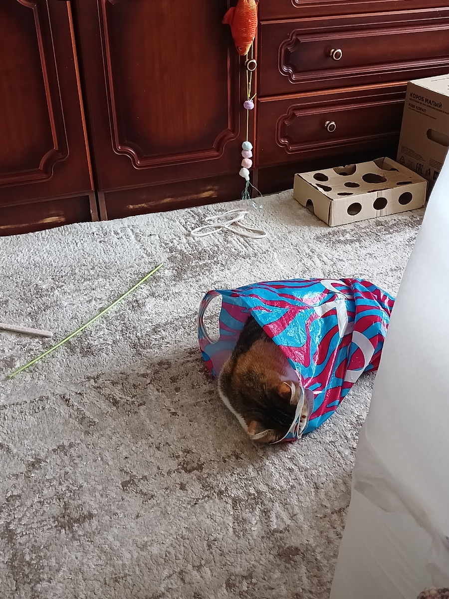 Устала мне помогать