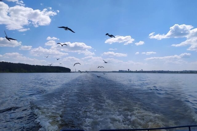    Фото: АиФ/ Екатерина Котельникова