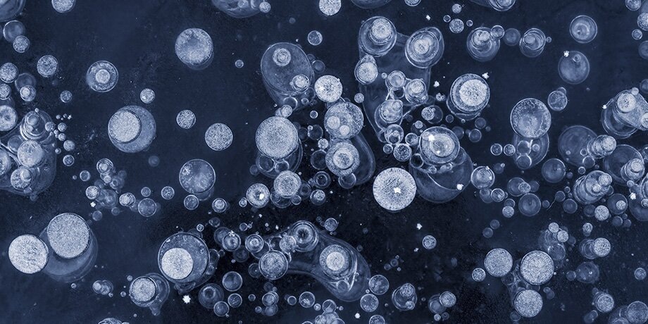    Фото: 123RF/osr72