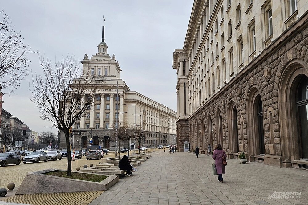    Фото: АиФ/ Георгий Зотов