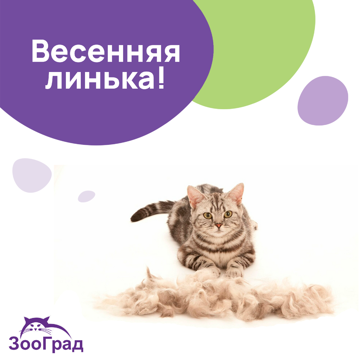 Каждый год одно и тоже...