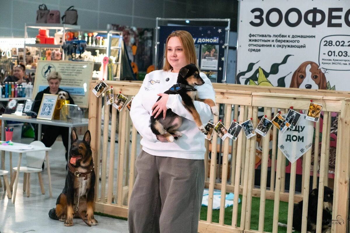 Фото: предоставлено Impact