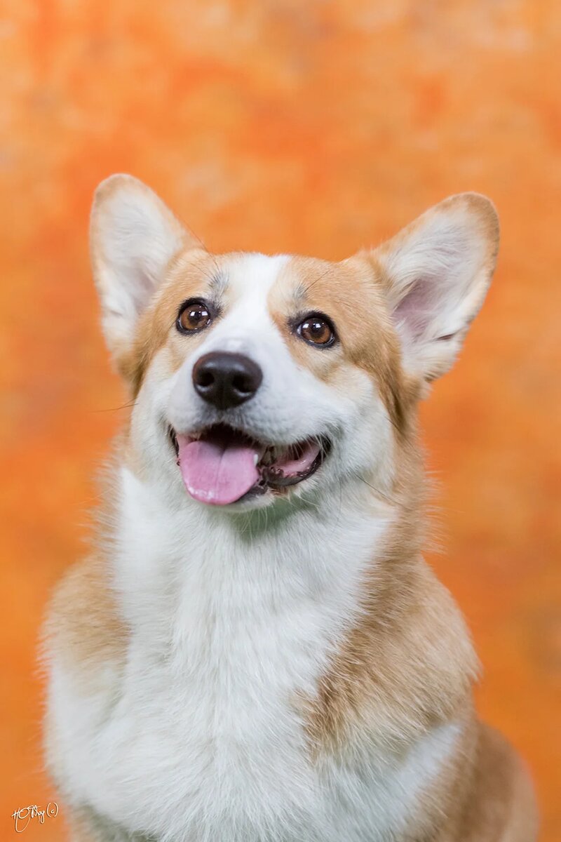 Фото: предоставлено Impact