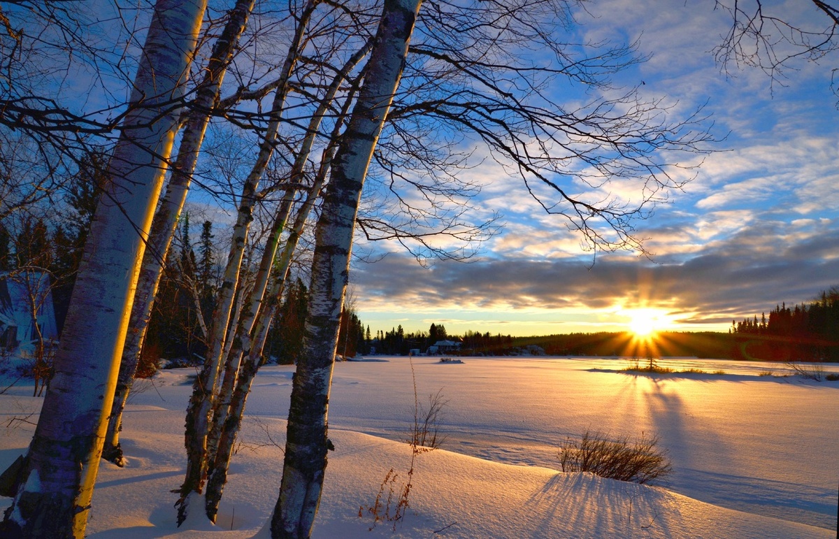   Фото: по лицензии CC0 Pxhere.com