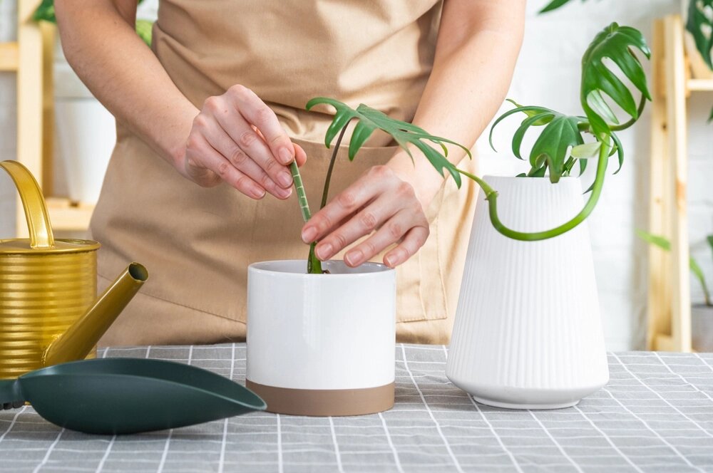    Фото: istockphoto.com