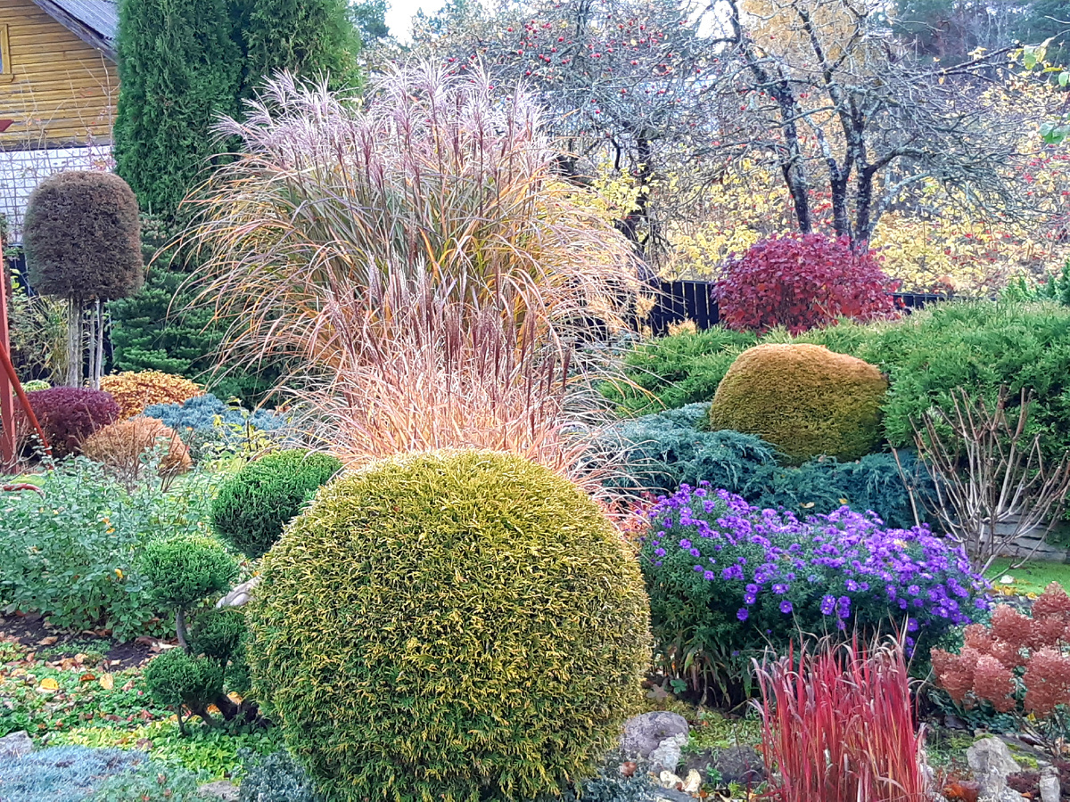 Сад и фото Тамары Шпилиной, Псковская область