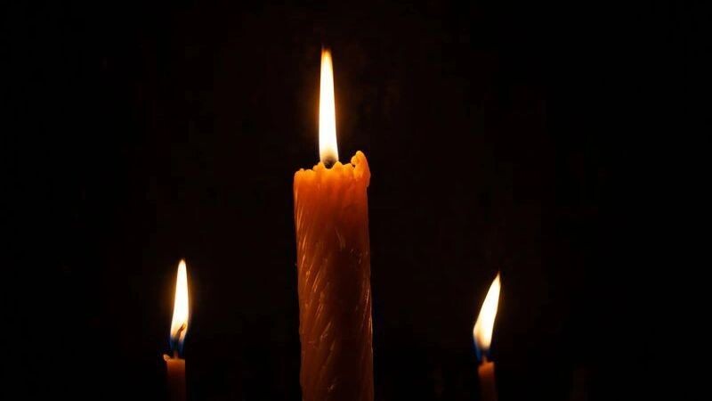    Фото: nada54/Shutterstock/Fotodom