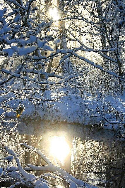 из открытого источника