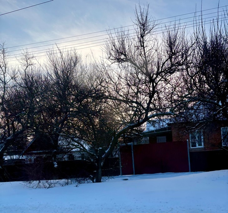    природа Редакция Газеты