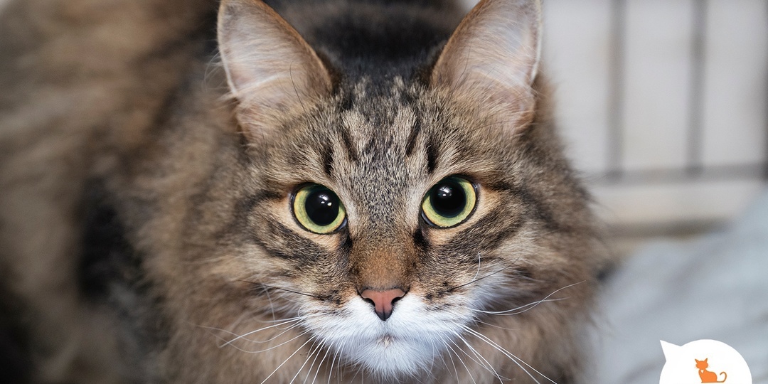 Настоящая весна придёт в жизнь каждого