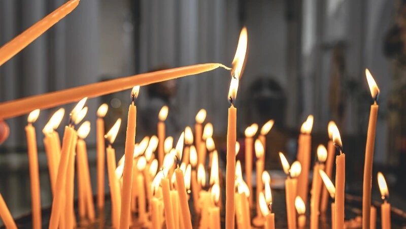      Фото: @pvproductions / ru.freepik.com