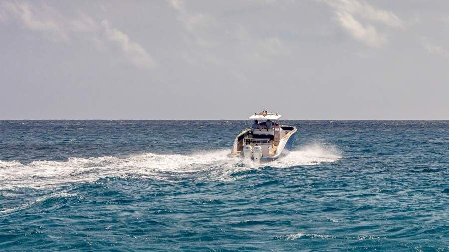    Фото: TASS/picture alliance/photothek.de