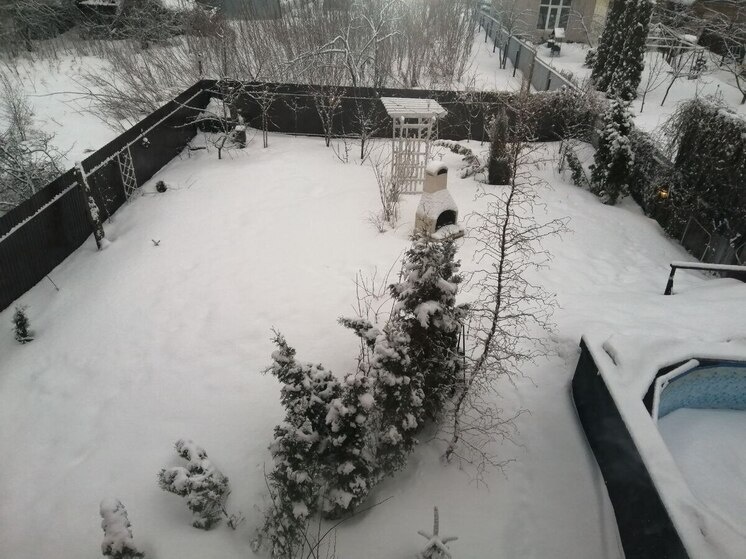     В некоторых районах Поволжья от нетерпеливости садоводов деревья спасает зимняя специфика - дороги заметены, не на все дачи пролезешь. Фото: Татьяна Кучумова