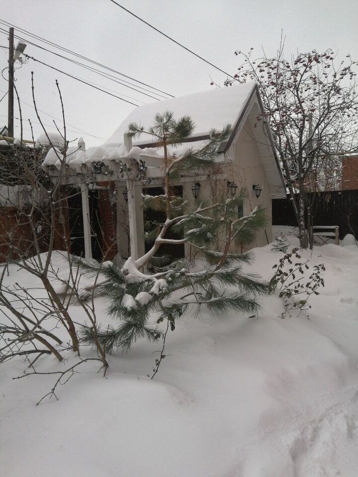     Фото: Татьяна Кучумова