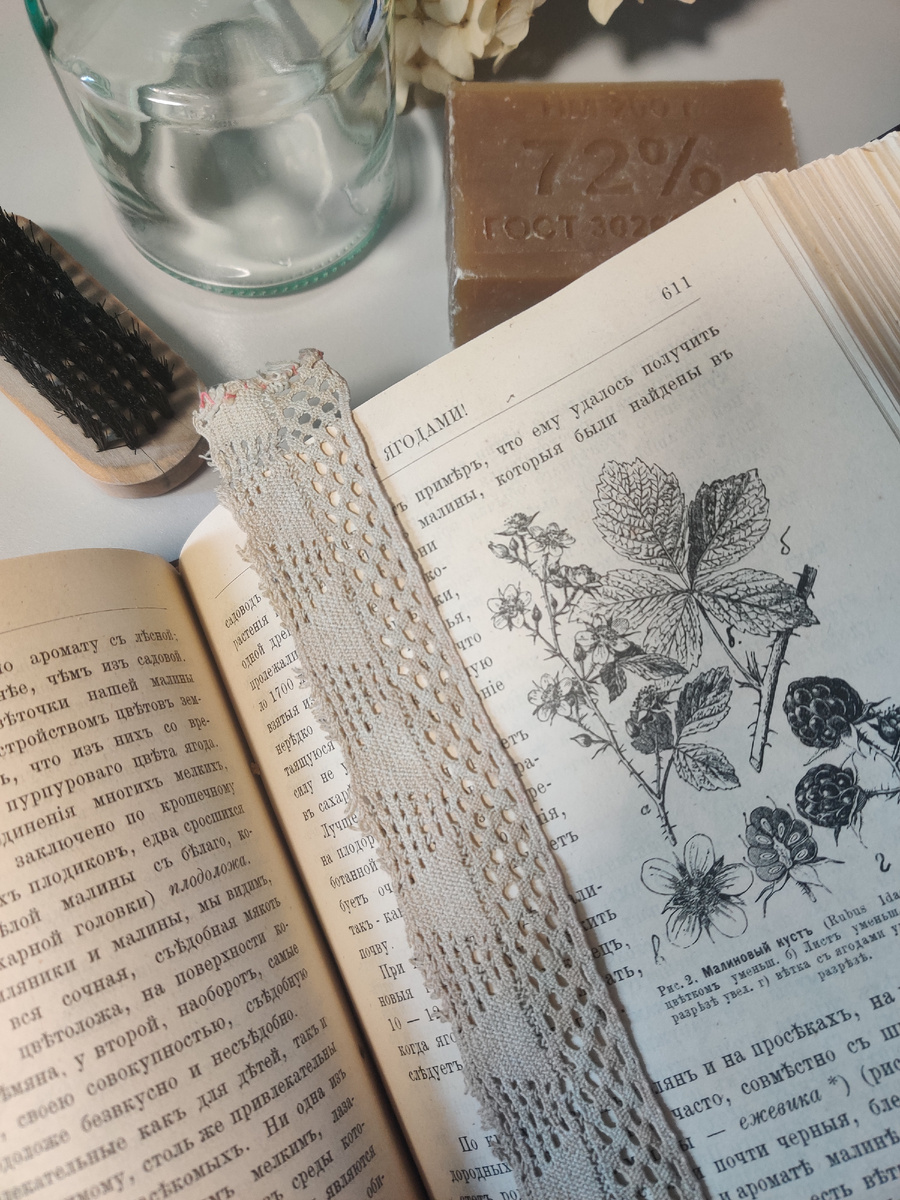 Я обнаружила кусочек сильно запыленного кружева, заложенный между страниц старинной книги. Надо спасать!