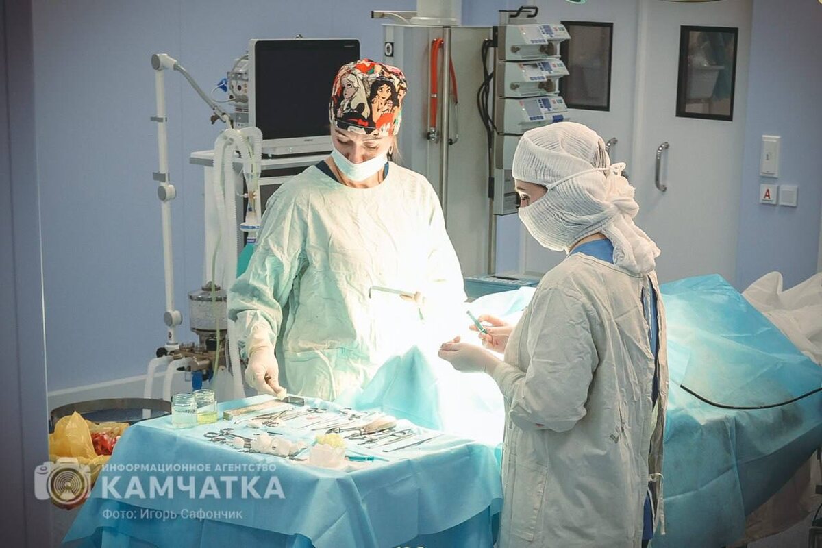 Фото Игоря Сафончика / ИА «Камчатка» (архив)