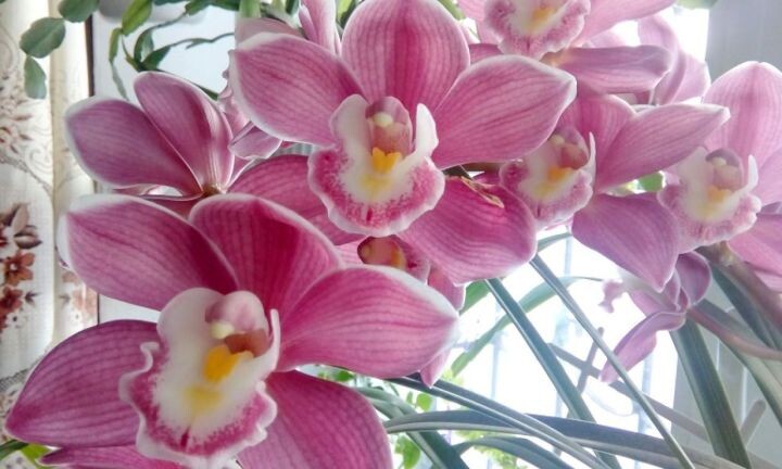    Фото:Ирина Климченко