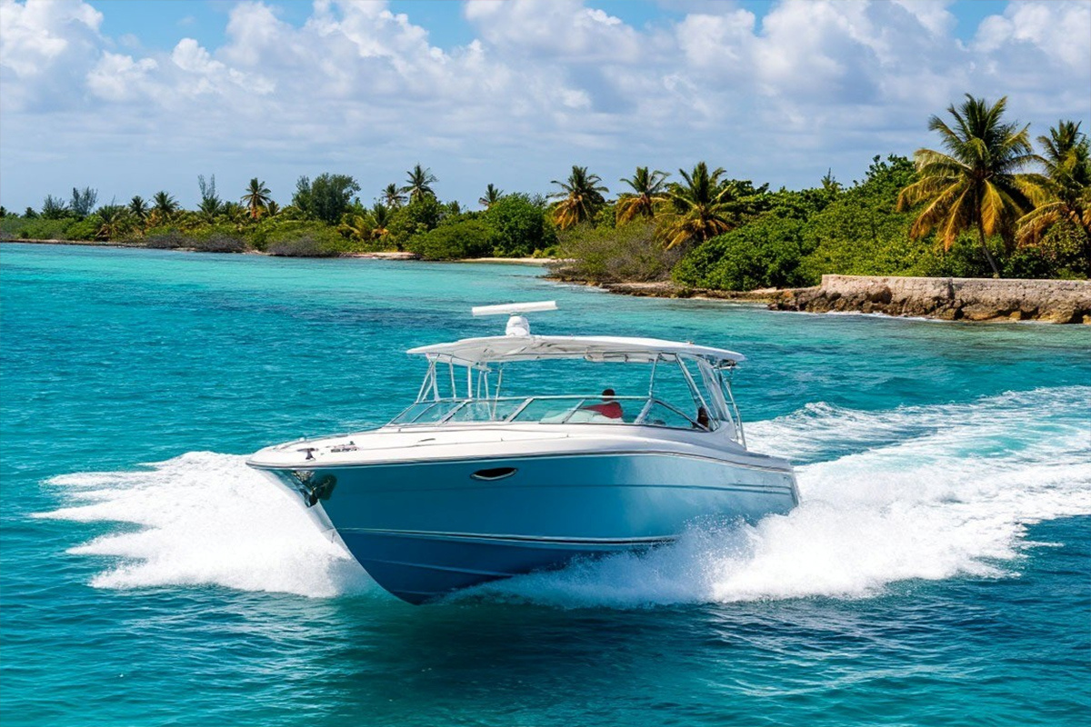    Фото: коллаж RuNews24.ru