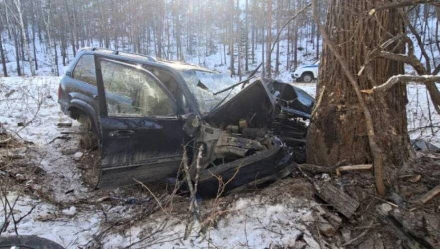    Источник фото: max.ru/prim_police