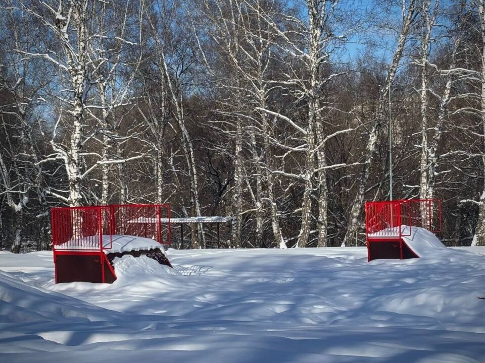    Парк "Юбилейный". Февраль 2026 года. Источник: "Толк"