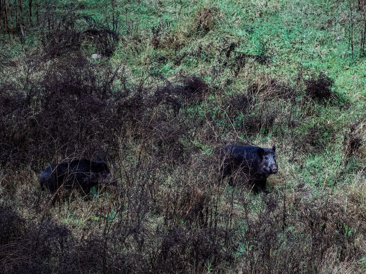     © GlÃƒÂ²Ria SÃƒÂ¡Nchez Keystone Press Agency/ Global Look Press