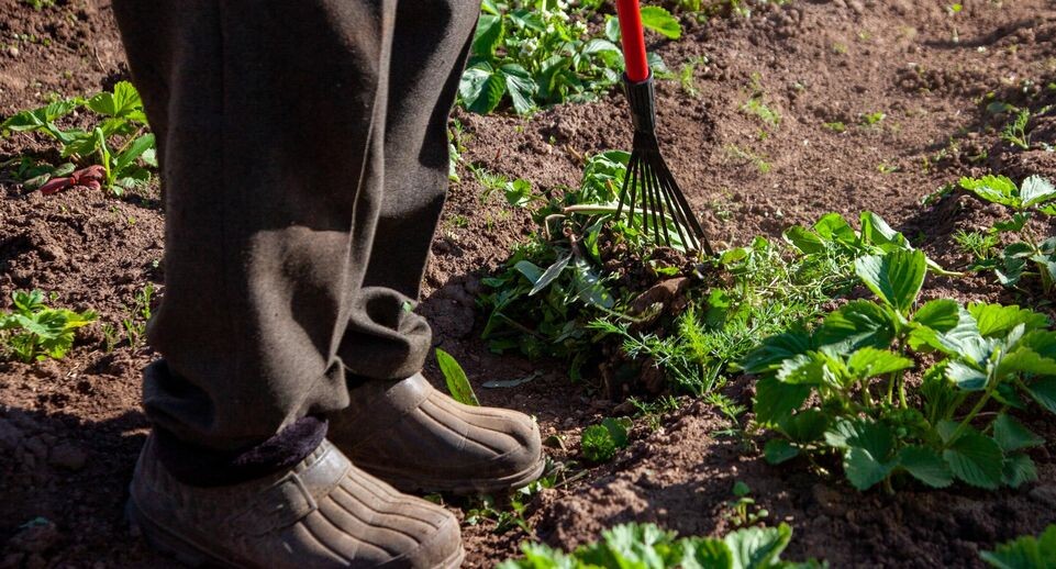    Oksana Korol/Business Online / www.globallookpress.com