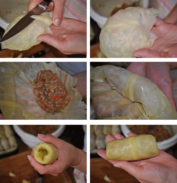 Фото взято из открытых источников 