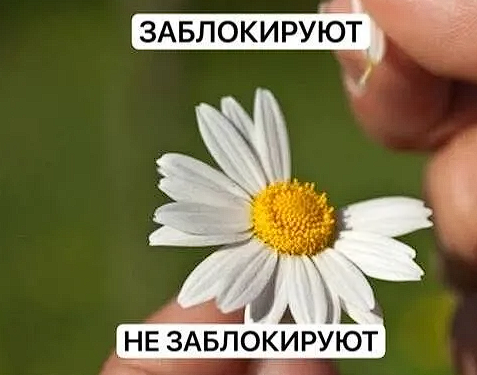 Заблокируют — не заблокируют