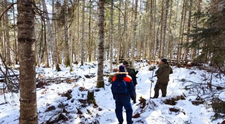    Фото:пресс-служба ГУ МЧС России по Хабаровскому краю