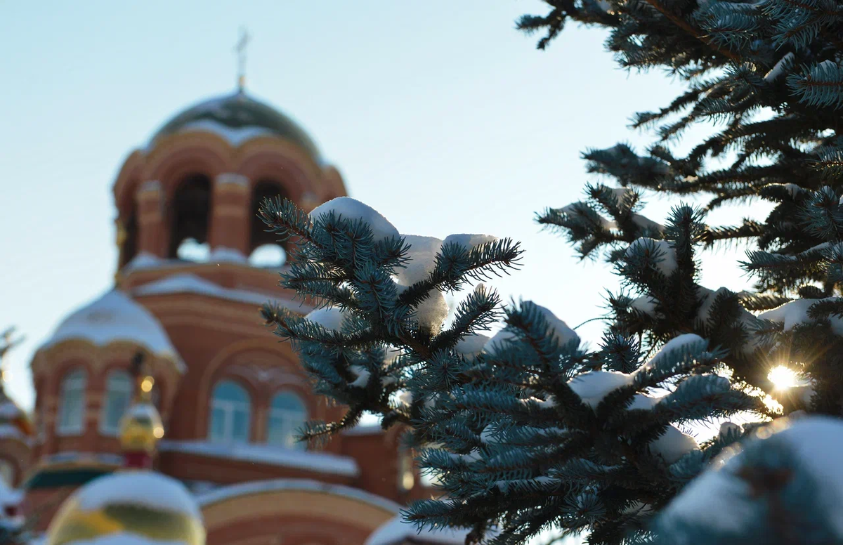 Фото: Олег Рукавицын/Царьград