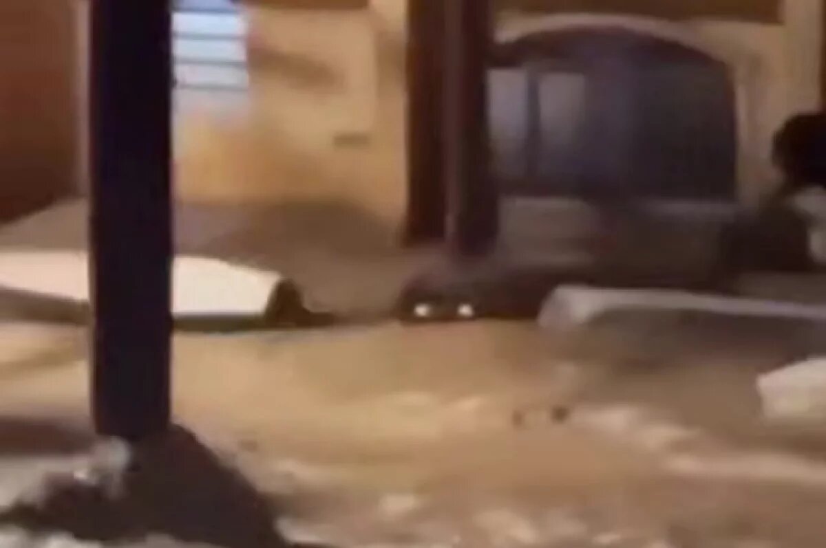    В Бразилии из-за мощного наводнения по улицам города проплыли гробы