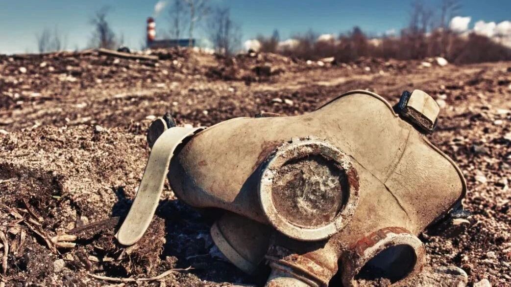    Фото: Khamidulin Sergey/Shutterstock/Fotodom