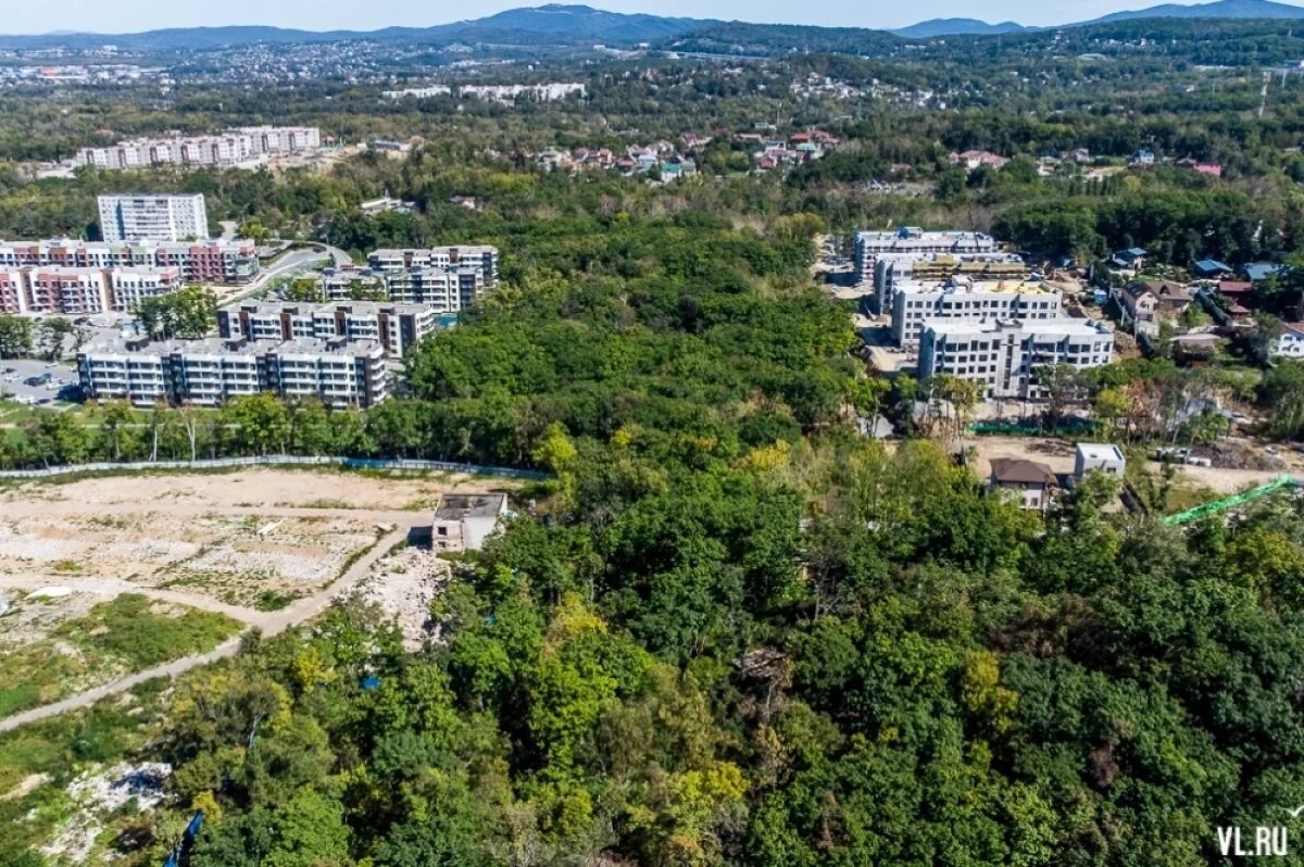    Росимущество отдаёт в аренду 3 га леса в Садгороде на 10 лет