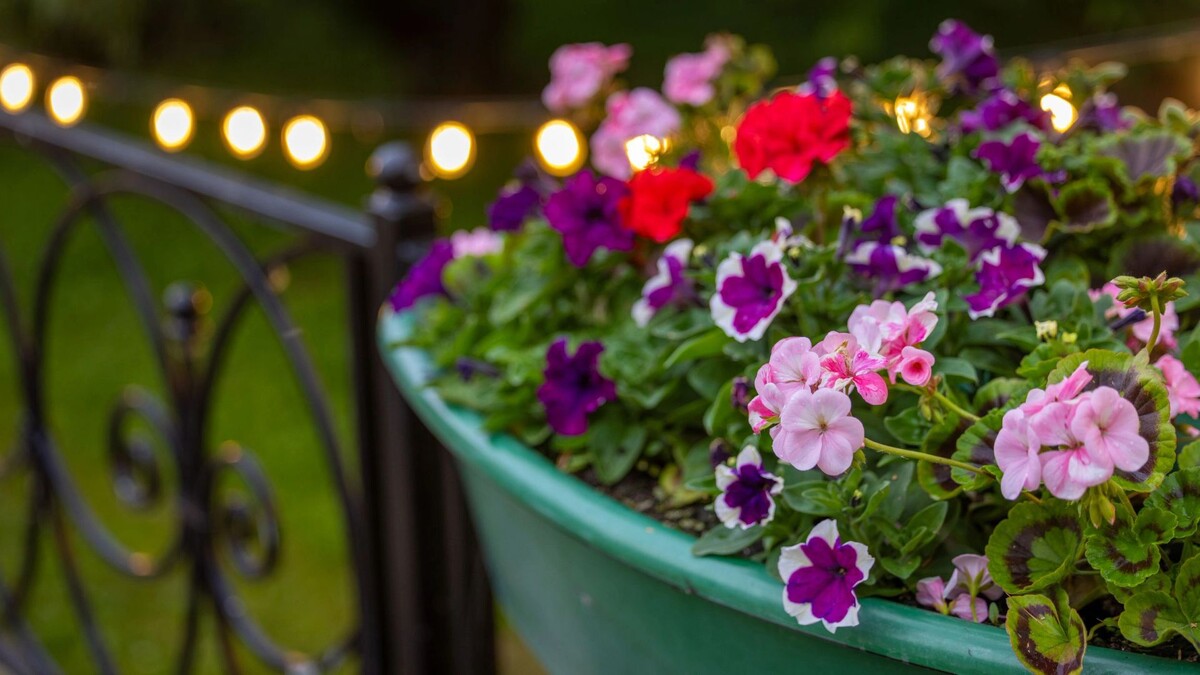    Фото: Федор Воронов / «Ямал-Медиа»