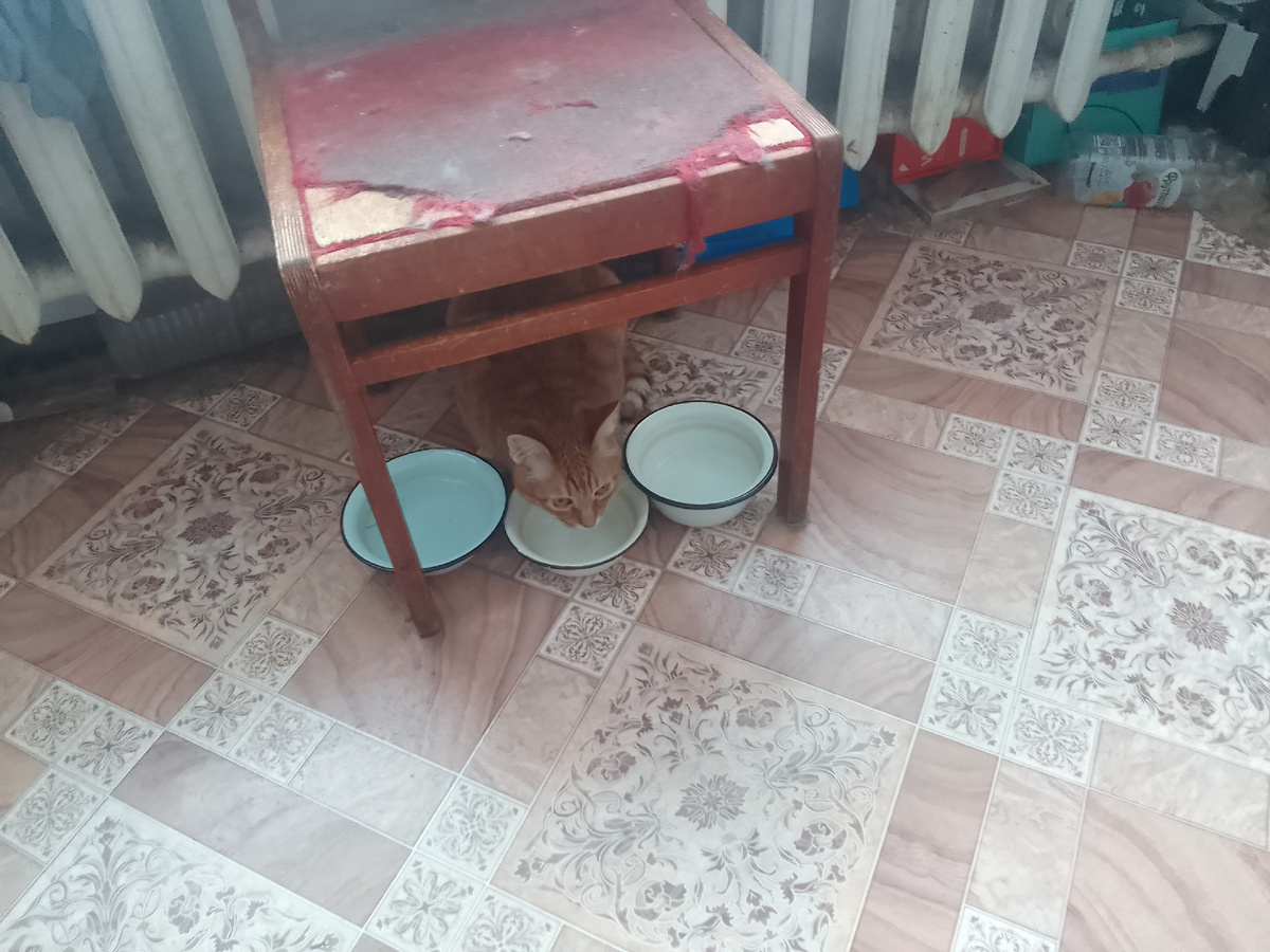 Аббат пьет воду 