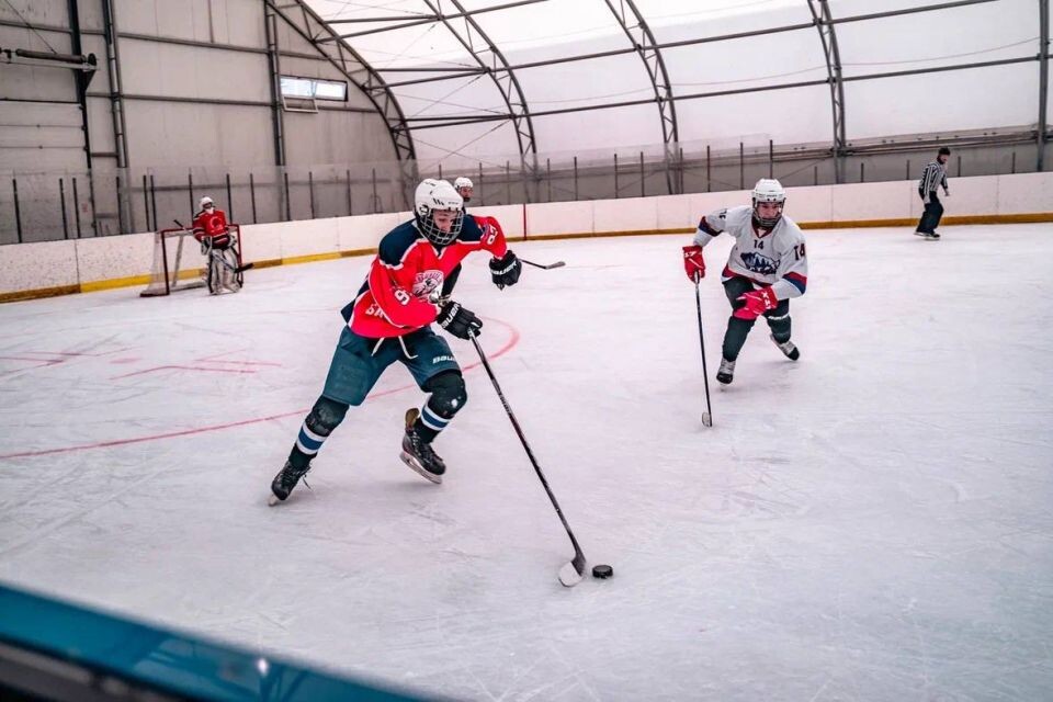    Фото: Федерация фиджитал спорта Алтайского края