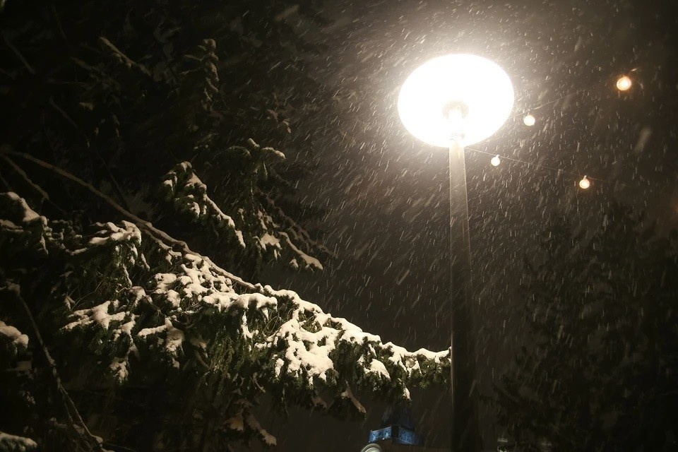    22 февраля сотрудники учреждения выехали на место для проверки. Фото: Диана ИВАНОВА