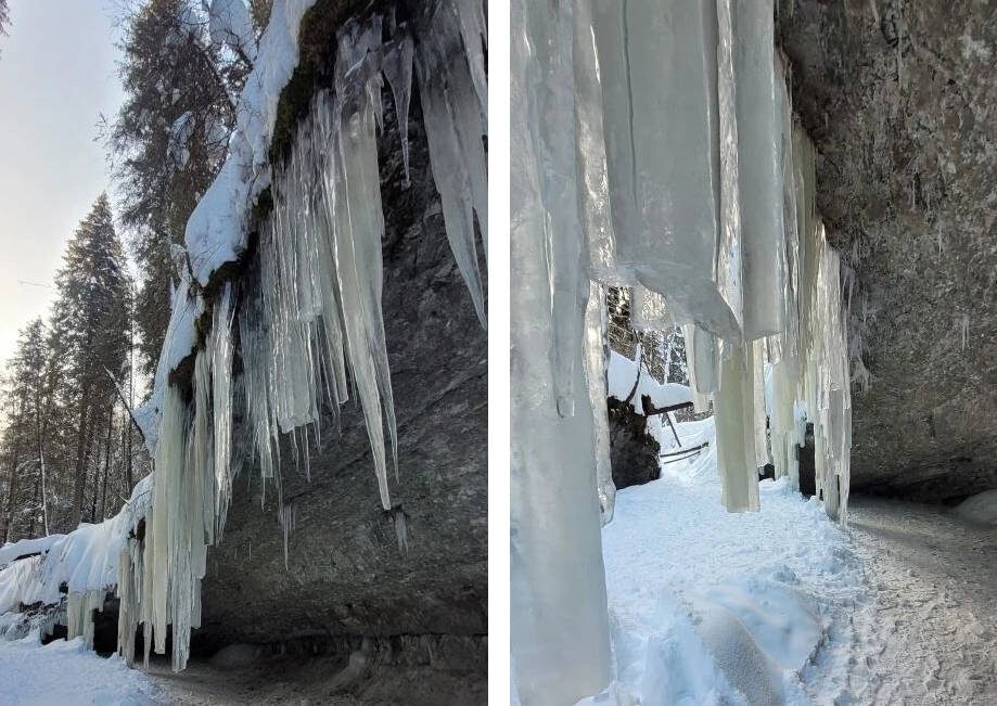 Фото Иван Ильиных