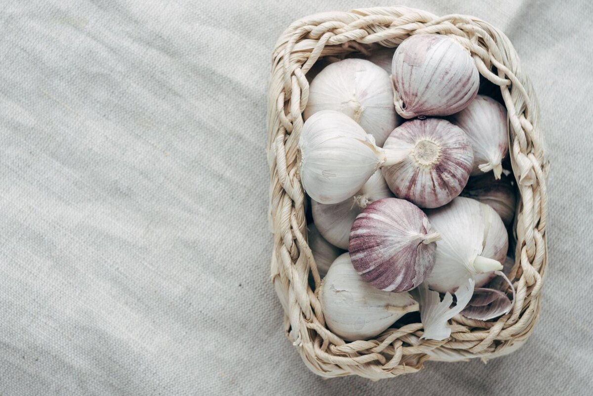    Нужно соблюдать простые правила, чтобы сохранить чеснок свежим 123RF/legion-media.ru