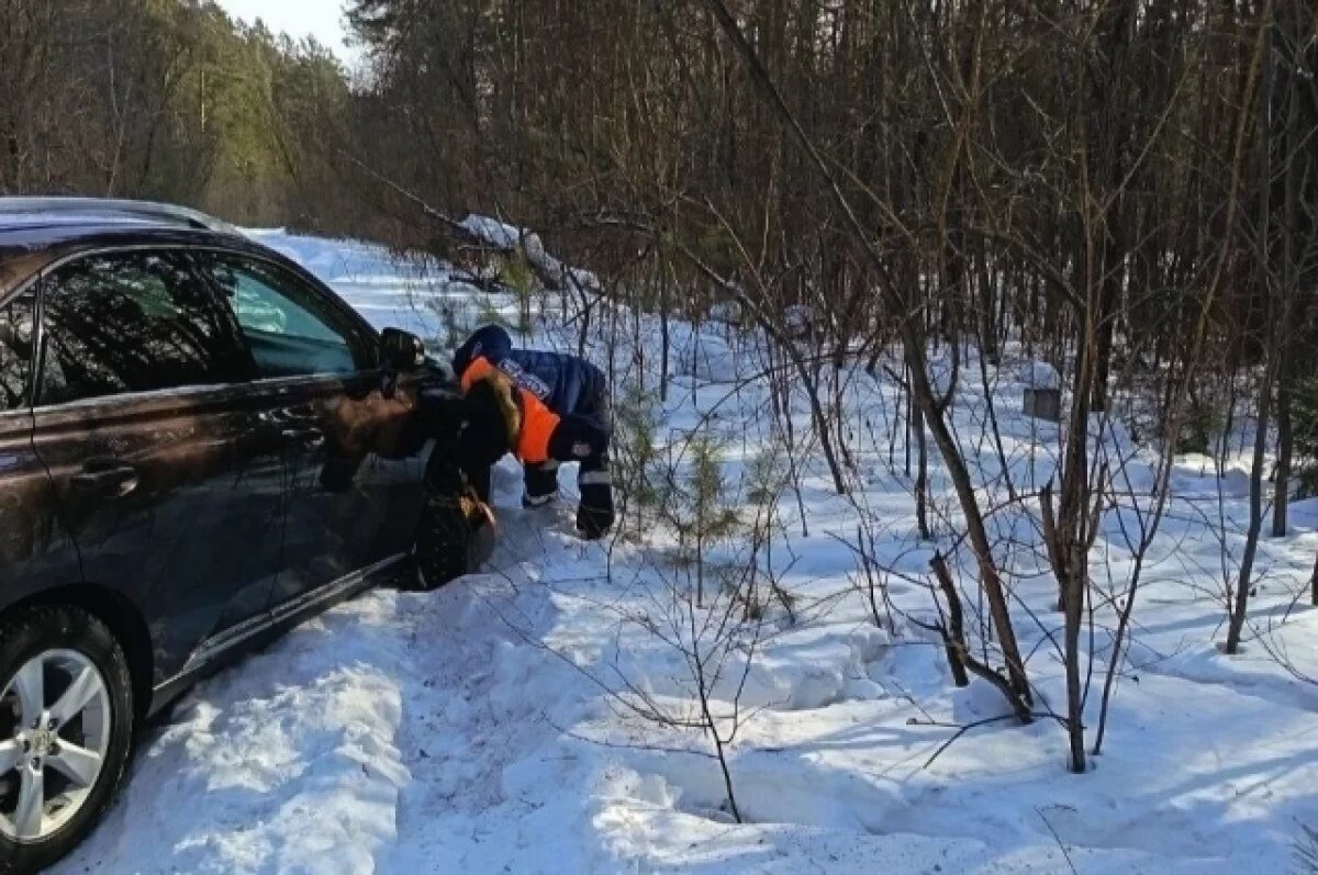    Семья из Красноярска застряла в лесу по вине навигатора